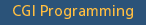 CGI Programming