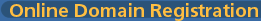 Online Domain Registration