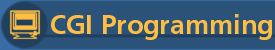 CGI Programming